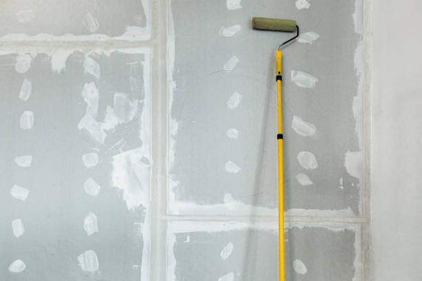 Best Drywall Removal and Disposal  in Minnetrista, MN